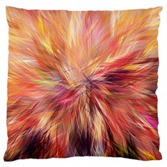 Color Background Structure Lines Large Cushion Case (two Sides)