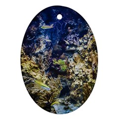 Under The Sea Ornament (oval)