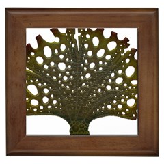 Leaf Tree Framed Tiles