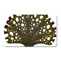 Leaf Tree Magnet (rectangular) by Mariart