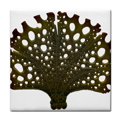 Leaf Tree Face Towel by Mariart