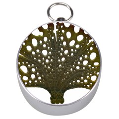 Leaf Tree Silver Compasses