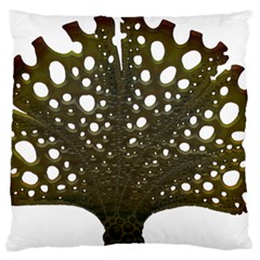 Leaf Tree Large Flano Cushion Case (two Sides) by Mariart