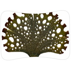 Leaf Tree Velour Seat Head Rest Cushion by Mariart