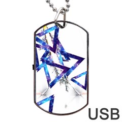 Metal Triangle Dog Tag Usb Flash (one Side) by Mariart