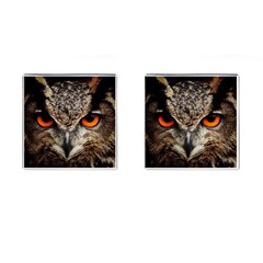 Owl s Scowl Cufflinks (square) by WensdaiAmbrose