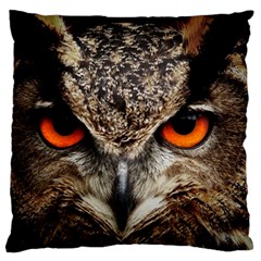 Owl s Scowl Standard Flano Cushion Case (one Side) by WensdaiAmbrose