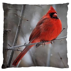 Northern Cardinal  Large Cushion Case (two Sides) by WensdaiAmbrose
