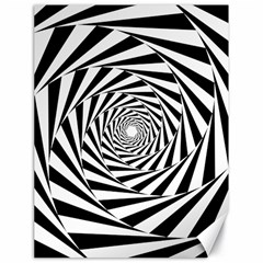 Pattern Texture Spiral Canvas 18  X 24 