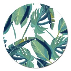 Plants Leaves Tropical Nature Magnet 5  (round)