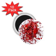 Red Pomegranate Fried Fruit Juice 1 75  Magnets (10 Pack) 