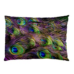 Peacock Feathers Pillow Case by WensdaiAmbrose