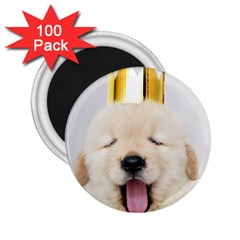 Royal Puppy Yawns 2 25  Magnets (100 Pack)  by WensdaiAmbrose