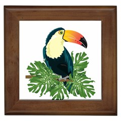 Tropical Birds Framed Tiles