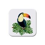 Tropical Birds Rubber Square Coaster (4 pack)  Front