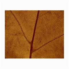 Leaf Fall Foliage Nature Orange Small Glasses Cloth by Pakrebo