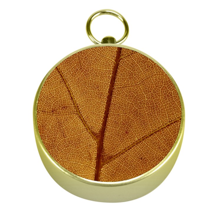 Leaf Fall Foliage Nature Orange Gold Compasses