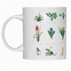 ML-7-3 White Mugs