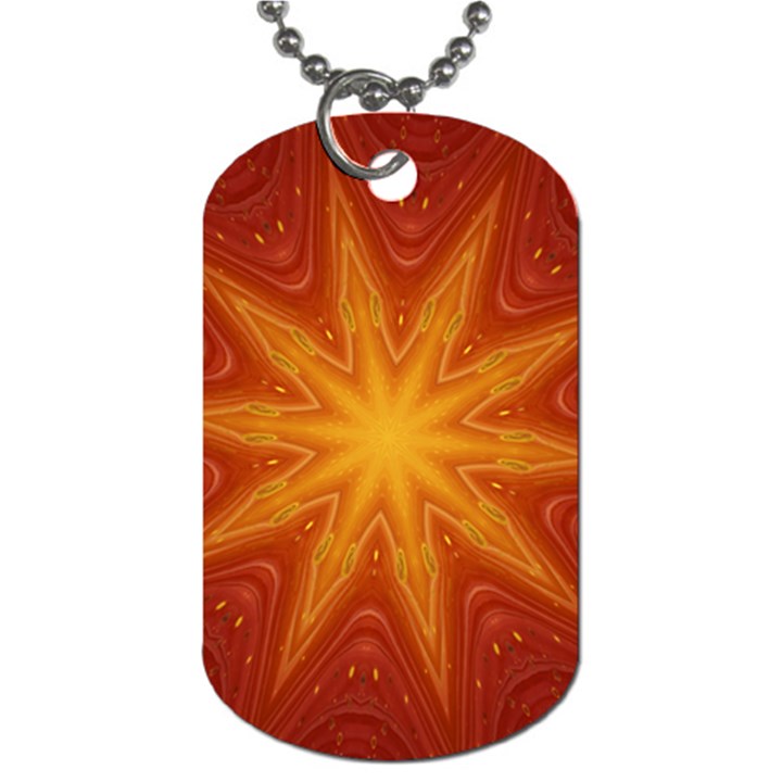 Fractal Wallpaper Colorful Abstract Dog Tag (One Side)