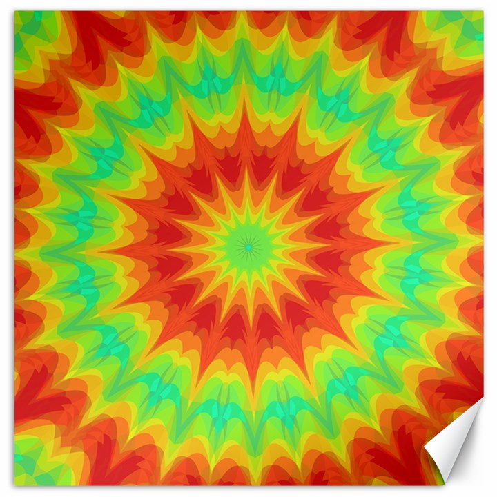 Kaleidoscope Background Mandala Red green Canvas 20  x 20 