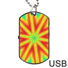 Kaleidoscope Background Star Dog Tag Usb Flash (two Sides)