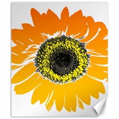 Sunflower Flower Yellow Orange Canvas 8  X 10 