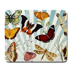 My Butterfly Collection Large Mousepads by WensdaiAmbrose