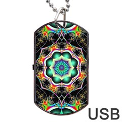 Fractal Chaos Symmetry Psychedelic Dog Tag Usb Flash (one Side) by Pakrebo