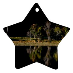 Soi Ball Symmetry Scenery Reflect Star Ornament (two Sides) by Pakrebo