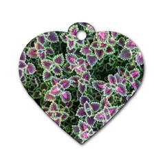 Ivy Lace Flower Flora Garden Dog Tag Heart (Two Sides)