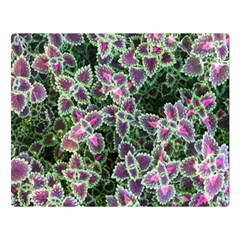 Ivy Lace Flower Flora Garden Double Sided Flano Blanket (Large) 