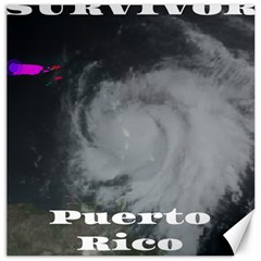 Survivor Of Hurricane Maria Puerto Rico Canvas 12  X 12  by StarvingArtisan