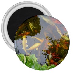 Koi Fish Pond 3  Magnets