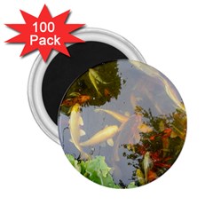 Koi Fish Pond 2 25  Magnets (100 Pack)  by StarvingArtisan