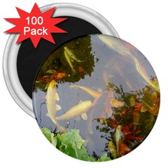 Koi Fish Pond 3  Magnets (100 Pack) by StarvingArtisan