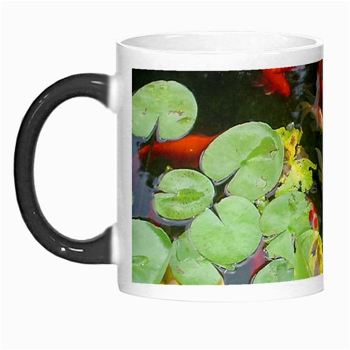 Koi Fish Pond Morph Mugs