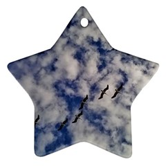 Pelicans In Flight Ornament (star)