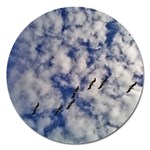 Pelicans In Flight Magnet 5  (Round) Front