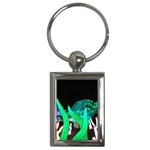 Dragon Lights Turtle Key Chains (Rectangle)  Front