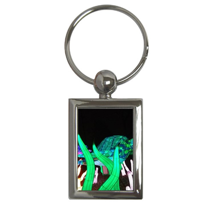 Dragon Lights Turtle Key Chains (Rectangle) 