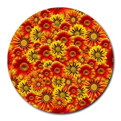 Brilliant Orange And Yellow Daisies Round Mousepads