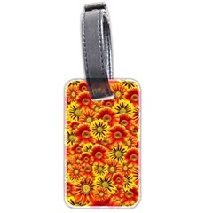 Brilliant Orange And Yellow Daisies Luggage Tags (Two Sides)