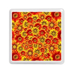 Brilliant Orange And Yellow Daisies Memory Card Reader (Square)