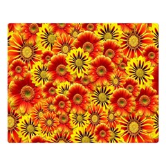 Brilliant Orange And Yellow Daisies Double Sided Flano Blanket (Large) 