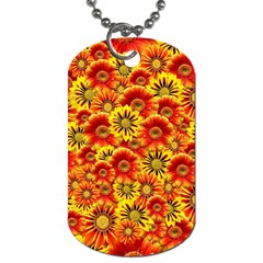 Brilliant Orange And Yellow Daisies Dog Tag (Two Sides)
