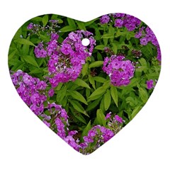 Stratford Garden Phlox Ornament (heart)