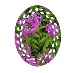 Stratford Garden Phlox Oval Filigree Ornament (two Sides) by Riverwoman