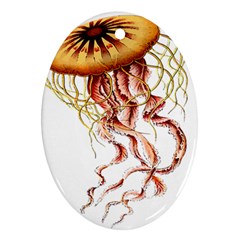 Animal Art Forms In Nature Jellyfish Ornament (oval) by Wegoenart