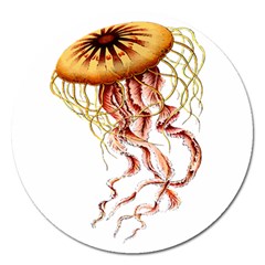 Animal Art Forms In Nature Jellyfish Magnet 5  (round) by Wegoenart