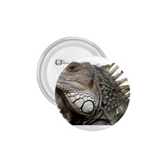 Iguana Portrait Profile Close Up 1 75  Buttons by Wegoenart